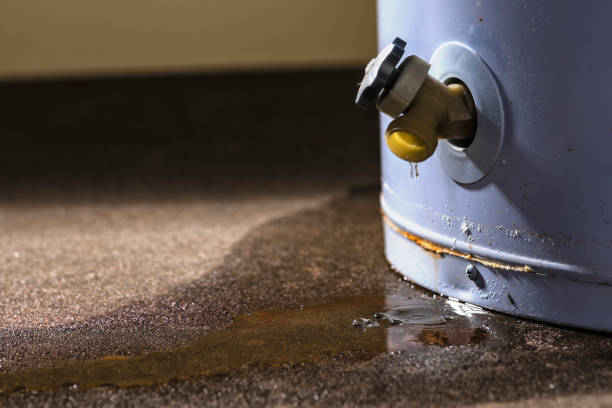 Best Water damage restoration insurance claims  in St Helen, MI