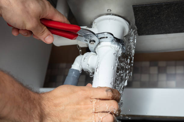 Best Fire Damage Restoration  in St Helen, MI