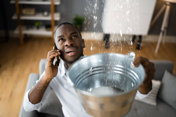 Water damage restoration mold remediation in MI