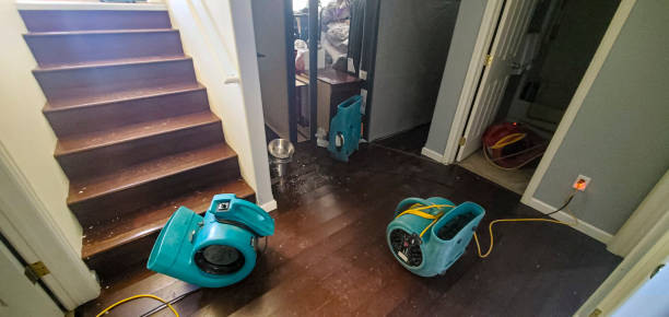 Best 24/7 water damage repair  in St Helen, MI
