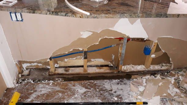 Best Sewage cleanup and water damage restoration  in St Helen, MI