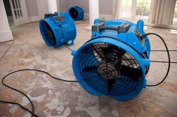Best Water damage cleanup near me  in St Helen, MI
