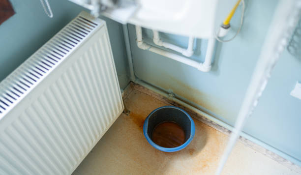 Best Basement water damage restoration  in St Helen, MI