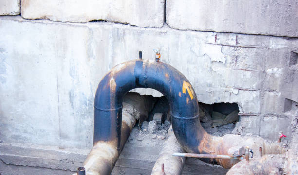 Best Water damage cleanup near me  in St Helen, MI